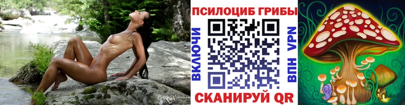 Купить закладки  Каменка  Галлюциногенные грибы MAGIC MUSHROOMS 